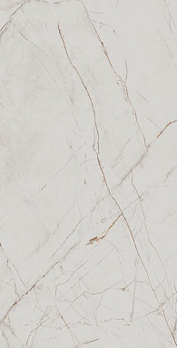Керамогранит Arcadia Ceramica CR4027-A Valencia Silver Grey Carving 60x120