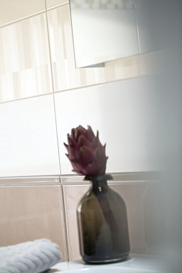 Плитка RAKO WADMB512 UP 20x40