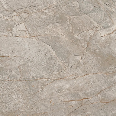 Керамогранит Атлас Конкорд Россия 610010002194 Empire Silver Root 60x60