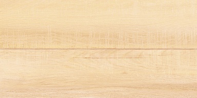 Плитка AltaCera WT9BRE11 Briole Wood 249*500*7.5