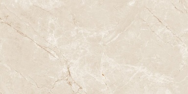 Керамогранит Neodom N20564 Siena Caramel Lap Carving 60x120