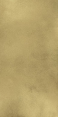 Керамогранит Italon 610015000645 Continuum Brass Gold Lap 80x160