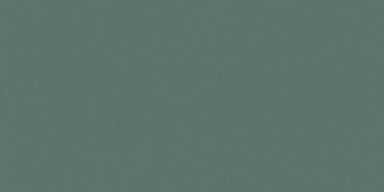 Керамогранит Mozart N90004 Leaf Matt 60x120