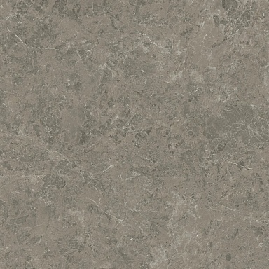 Керамогранит Atlas Concorde Italy AJIF Marvel Meraviglia Grigio Elegante Lapp. 120x120