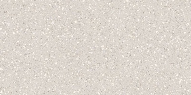 Керамогранит Protiles PT12J9000 Classico Grey 1200х600х9