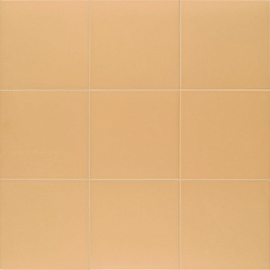Керамогранит Mainzu Technical Tangerine 20х20
