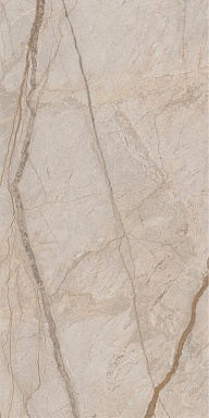 Керамогранит Italon 610010002835 Stellaris Elegant Silver Nat Ret 60x120