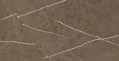 Керамогранит Basconi Home BHM-5009 Stone Brown 3D ink-soft glaze 60x120