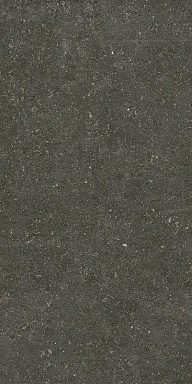 Керамогранит Casa Dolce Casa 785577 Rinascenza Arena Platino Matte 6mm 60x120