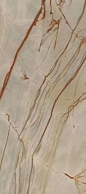 Керамогранит Casa Dolce Casa 774673 Nature Mood Rainforest Glossy 80x180