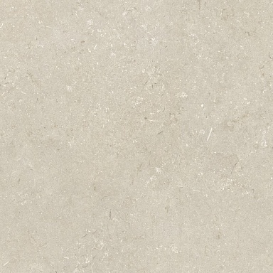 Керамогранит Dado Ceramica 005848 Shellstone Beige 120x120