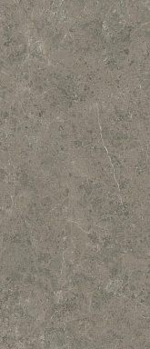 Керамогранит Atlas Concorde Italy AJH5 Marvel Meraviglia Grigio Elegante Lapp. 6mm 120x278