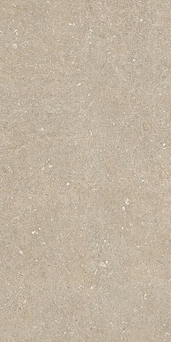 Керамогранит Casa Dolce Casa 785575 Rinascenza Arena Conchiglia Matte 6mm 60x120