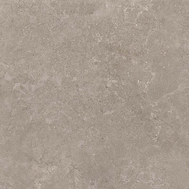 Керамогранит Creto 8163 Shell DG 60х60