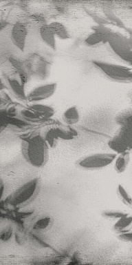 Керамогранит Flaviker PF60012582 Art Walls Shadow Nat R 60x120