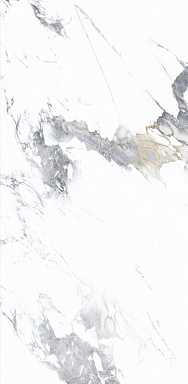 Керамогранит NT Ceramic NTT3003P Arabescato 120x240