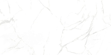 Керамогранит NT Ceramic NTT99607M Callacata carving 60x120