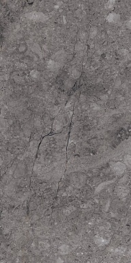 Керамогранит Alpas Euro Rock William Grey Carving 80x160