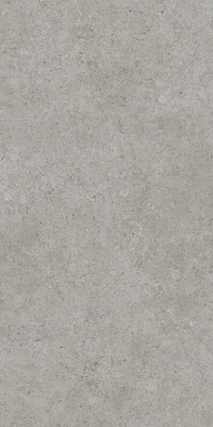 Керамогранит Kerama Marazzi DD590600R Про Лаймстоун АТ серый натуральный обрезной R10 119,5х238,5