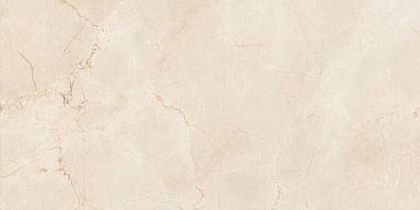 Керамогранит Maimoon Ceramica Itacid Criox Moss 60х120