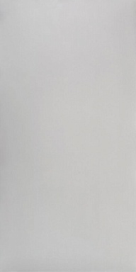 Керамогранит Bonaparte Studio Light Grey Polish 60x120