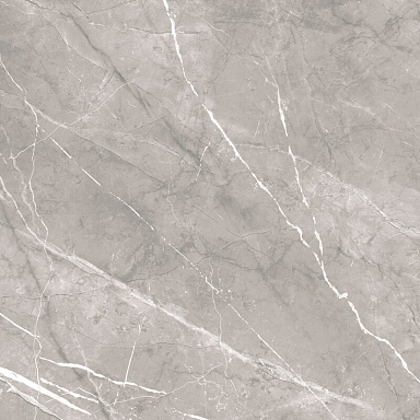 Керамогранит Alma Ceramica GFU04PLP70R Pulpis матовый 600x600x9.5
