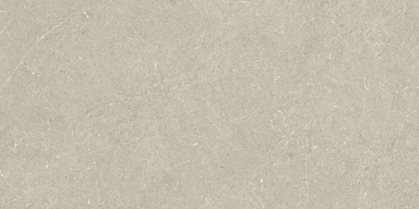 Керамогранит Argenta Bergstein Beige Matt Artech 60x120