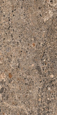 Керамогранит Casa Dolce Casa 785603 Rinascenza Basamento Terra Matte 60x120