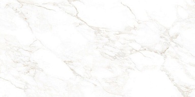 Керамогранит NT Ceramic NTT99526M Marble Extra Endless 60x120