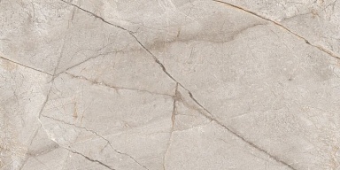 Керамогранит Neodom N80016 Silver Stone Carving 60x120