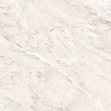 Керамогранит PrimaVera TP66M17 Пантир матовый 60x60