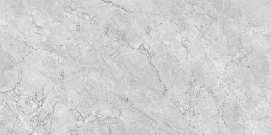 Керамогранит Royce R_NR2008 Silver Cascade Matt 60x120