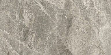 Керамогранит Ape A035780 Silver Grey Pol. 60*120