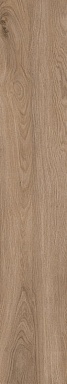 Керамогранит Artcer 1055 Casa Brown Mate 120x20