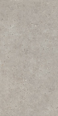 Керамогранит Kerama Marazzi SG519920R Риккарди серый светлый матовый обрезной 60х119,5