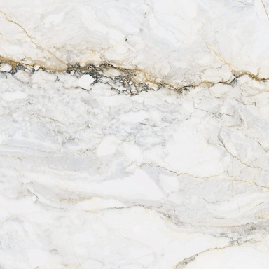 Керамогранит Pamesa Cr.Pisa Gold Compacglass Rect 60x60