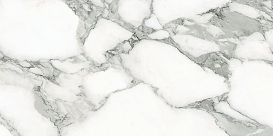 Керамогранит Emil Ceramica EJVR Arabescato Corchia Naturale 60x120