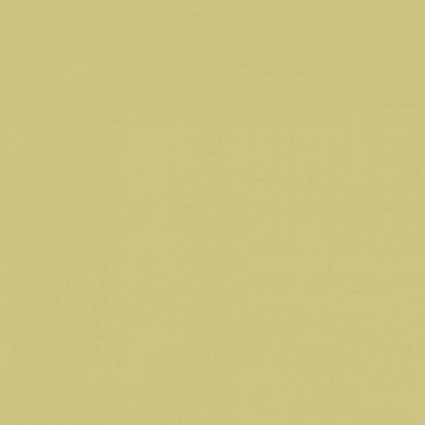 Плитка RAKO WAA1N221 Color One 20*20