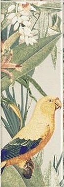 Декор Mainzu Tapis Jungle 10х30