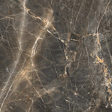 Maximus Global Tile