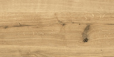 Керамогранит Cersanit C-WS4O112D Woodhouse коричневый 29,7х59,8