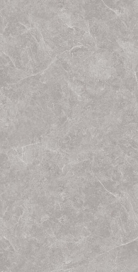 Керамогранит Creanza SL1002-A Oviedo Gris Solido 60x120