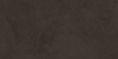 Плитка Laparet 48036R Evolution marron матовый обрезной 40x80