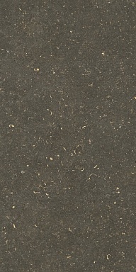 Керамогранит Casa Dolce Casa 785511 Rinascenza Arena Platino Grip 20mm 60x120