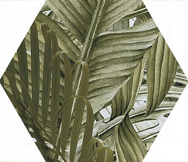 Керамогранит Pamesa Hex.Vegetal Trend 25.8x29