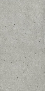 Керамогранит Italon 610010004134 Avantgarde X2 Silver Ret 20mm 60x120