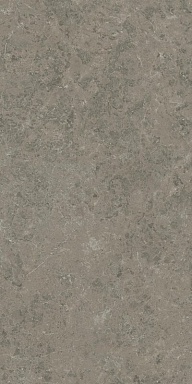 Керамогранит Atlas Concorde Italy AJIA Marvel Meraviglia Grigio Elegante Lapp. 120x240