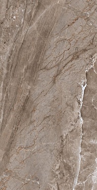 Керамогранит Gresant Silica Brown Carving 60х120