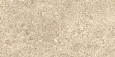 Керамогранит Atlas Concorde Italy HCRA Nyra Ambrosia Matt 60x120