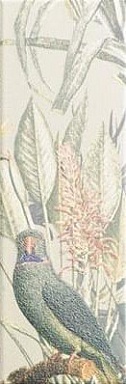 Декор Mainzu Tapis Jungle 10х30